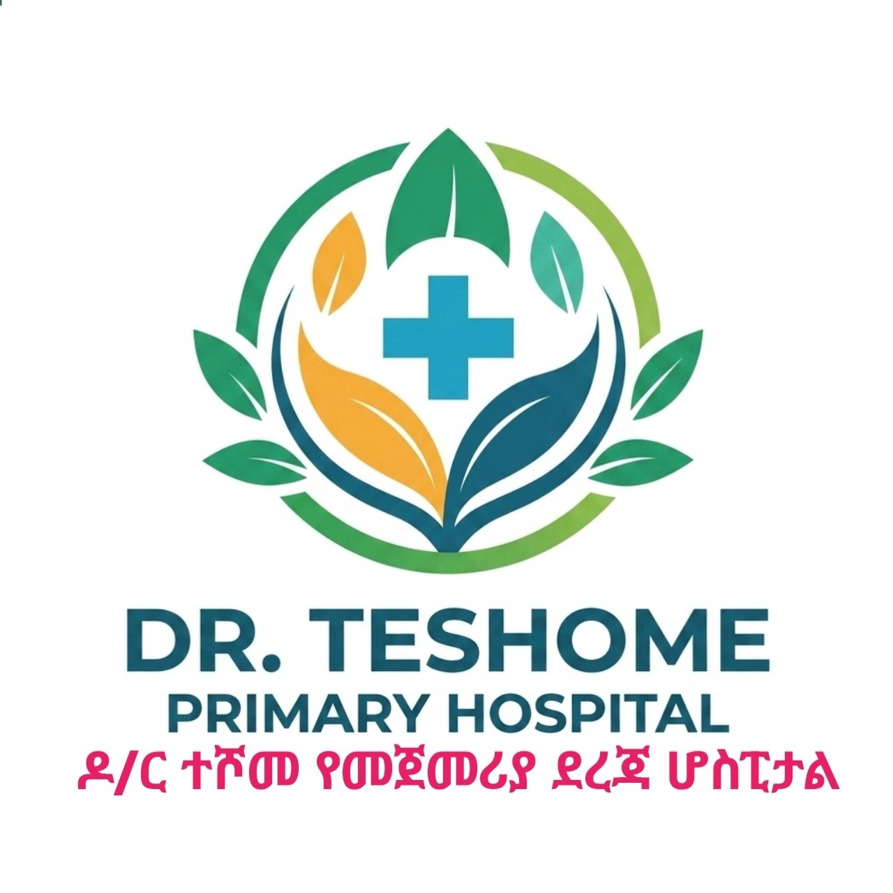 Dr. Teshome Primary Hospital logo